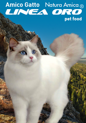 Linea Oro Gatto