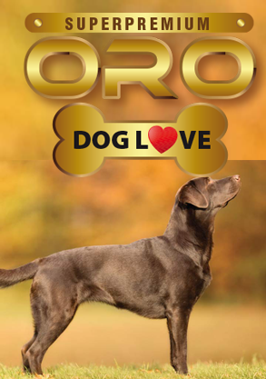 Amico Dog Top Argento e Oro